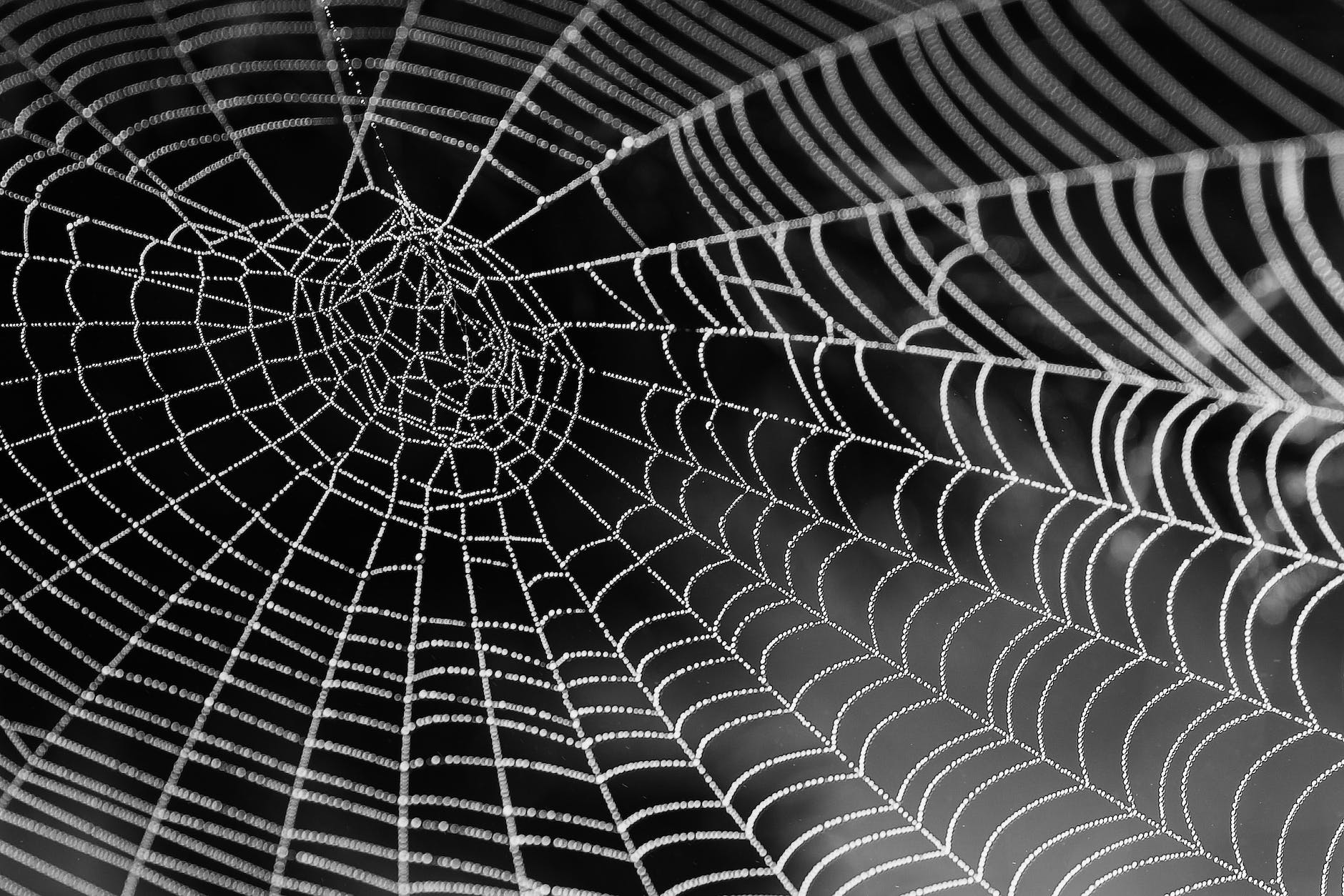 A Tangled Web of Regulations